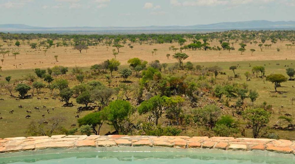 La savane dans le parc du Serengeti