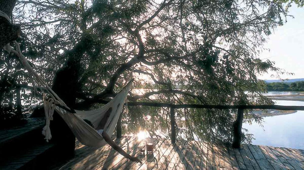 Un hamac sous un arbre en Tanzanie