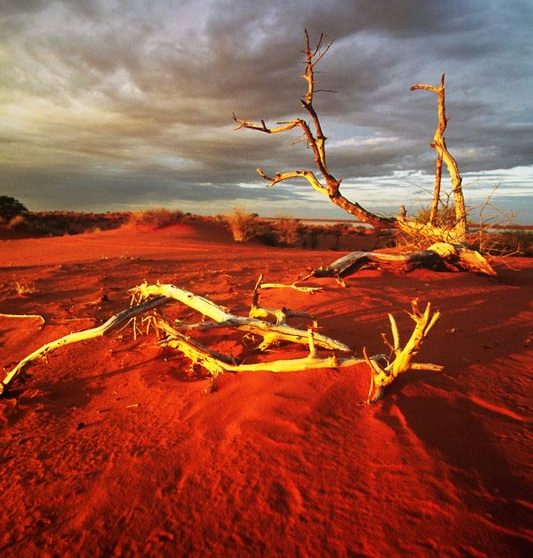 Paysage près du ranch à Kalahari