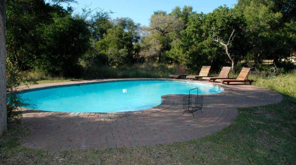 La piscine à Manyeleti