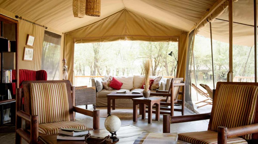 Le salon dans le Serengeti