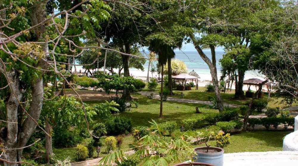 Le jardin verdoyant au Kenya