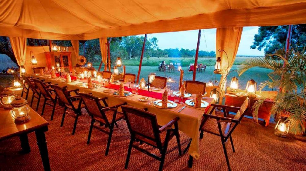 Soirée à l'Elephant Pepper Camp