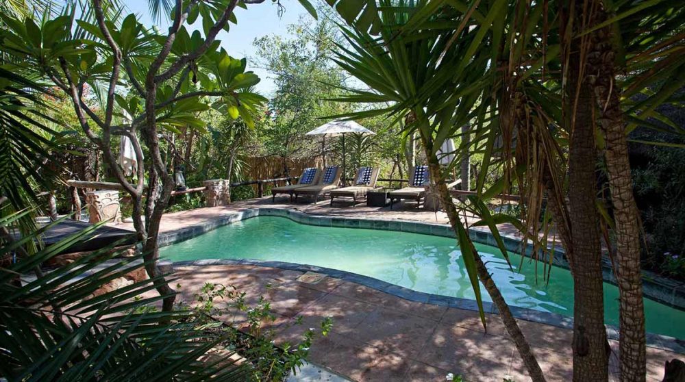 La petite piscine du lodge en Afrique du Sud