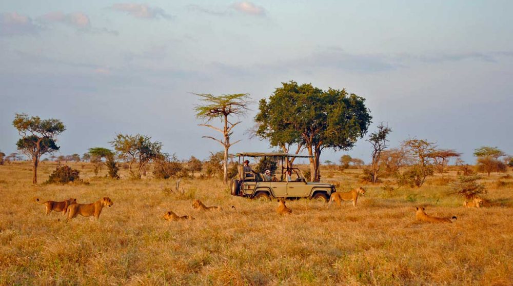 Safari au Lac Manze Camp