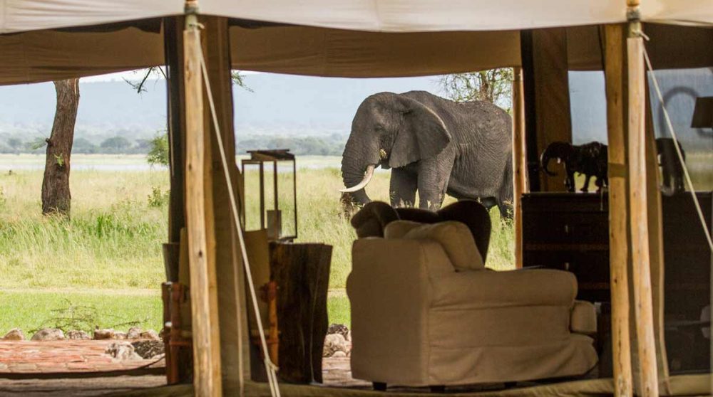 Le salon avec un spectateur