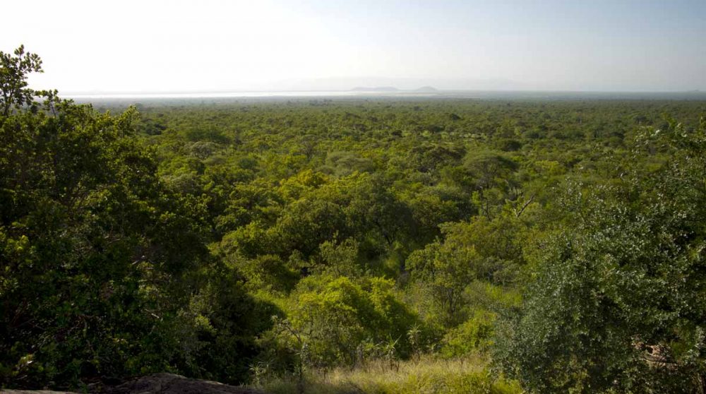 La nature au Mawe Ninga