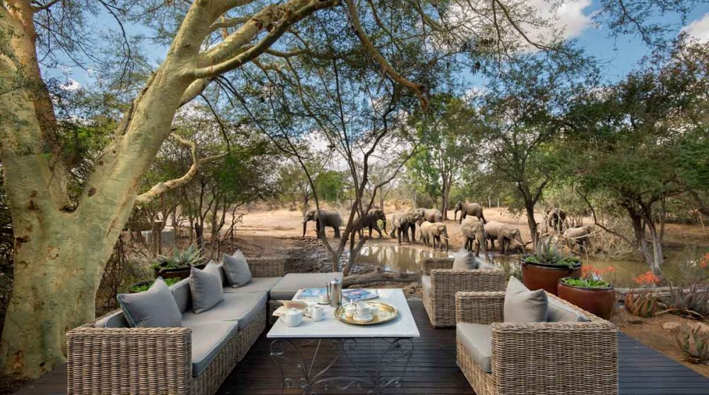 Salon extérieur du Ngala Safari Lodge