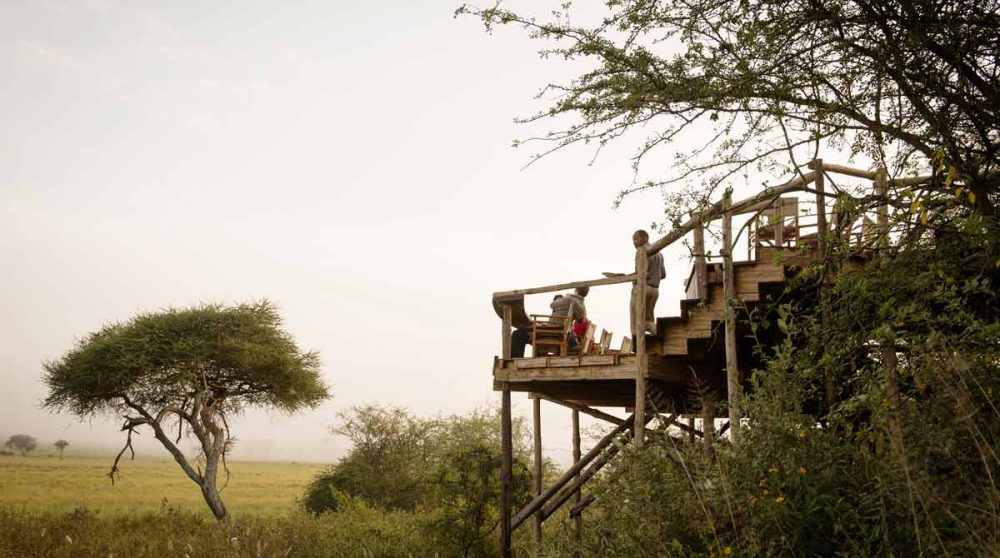 La terrasse suspendue de l'Oliver's Camp