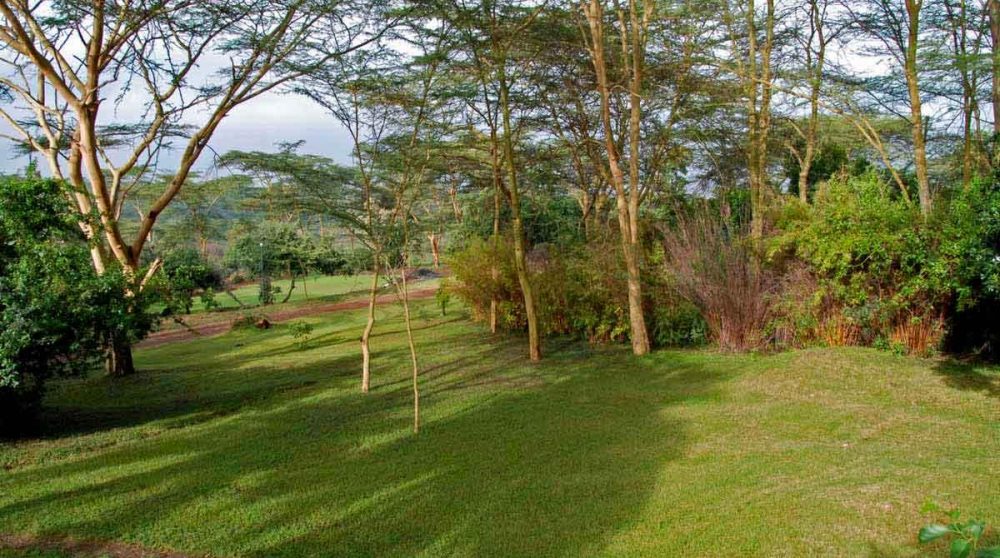 Le jaridn du Sarova Lion Hill Lodge