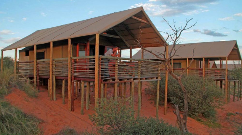 Les lodges du Suricate Tented Camp