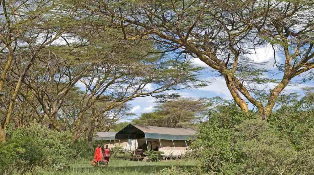 Les tentes dans le jardin verdoyant