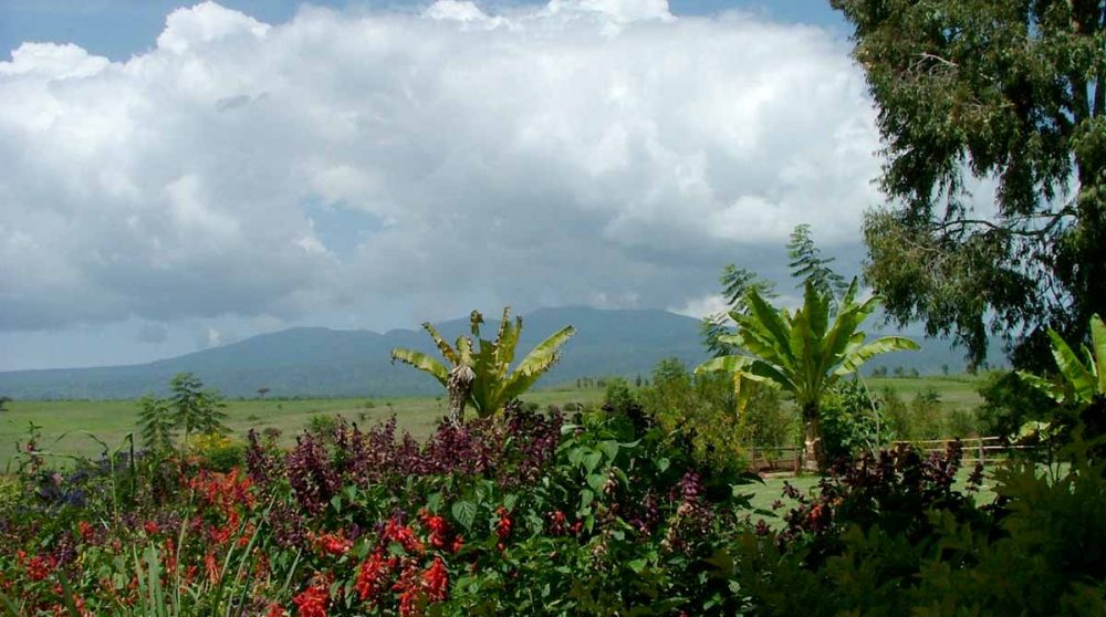 La vue sur le cratère en Tanzanie