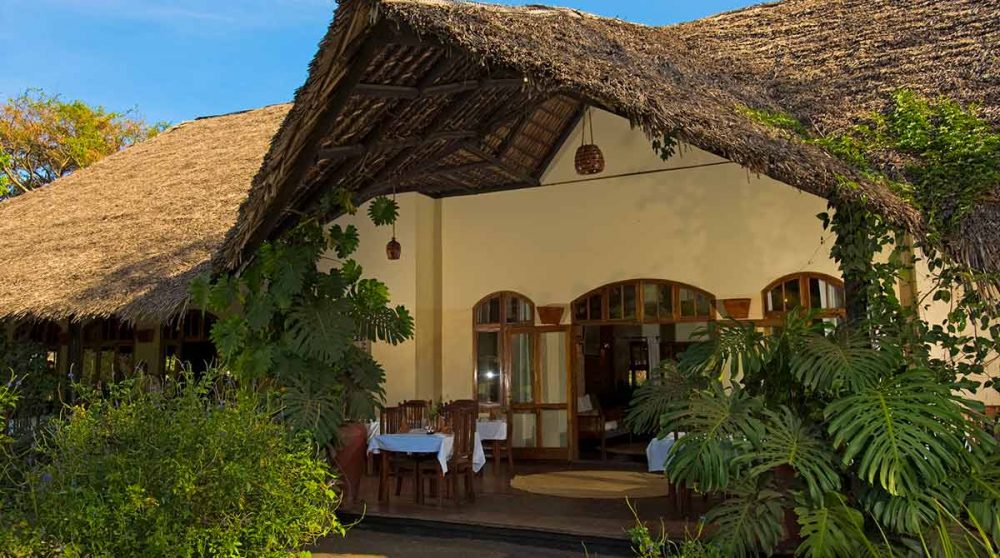 La terrasse et le jardin en Tanzanie
