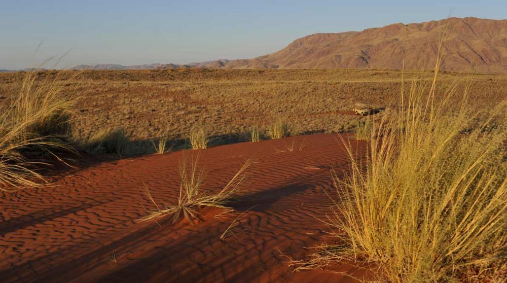 La nature près du camp en Namibie