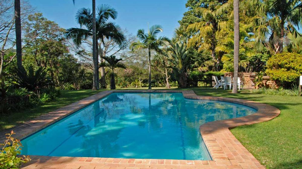 La piscine entourée d'arbres en Afrique du Sud