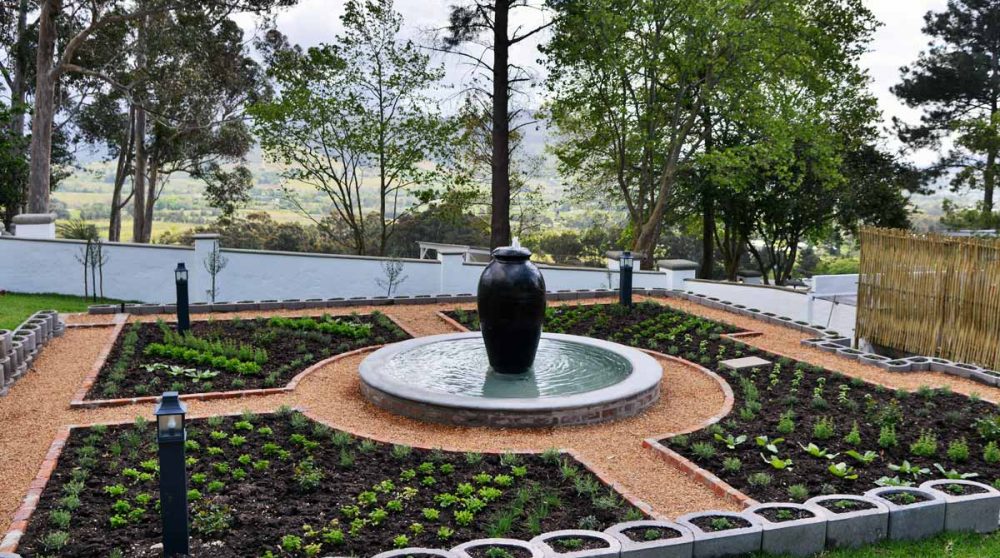 Le jardin aromatique à Franschhoek