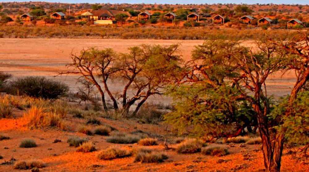 La nature en Namibie