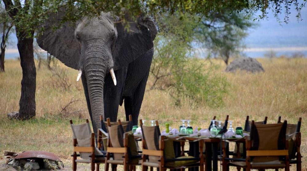 Déjeuner sous surveillance