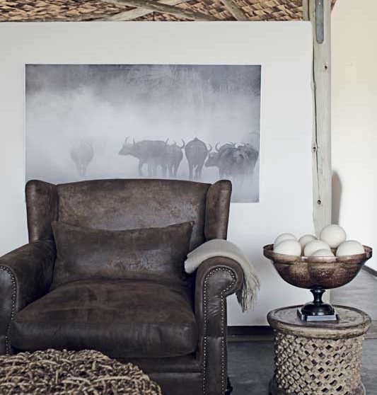 Décoration dans le parc national de Tarangire