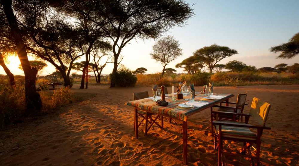 Repas dans la savane dans le Tarangire