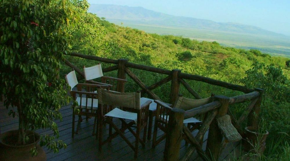 La vue sur la nature depuis la terrasse