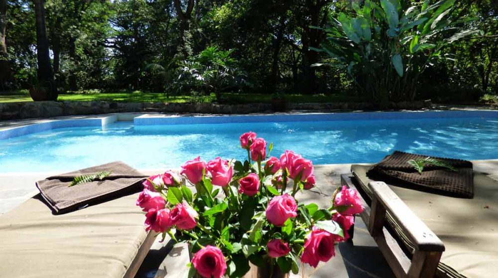 La piscine nichée dans le jardin