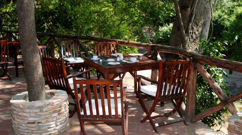 Déjeuner face à la nature