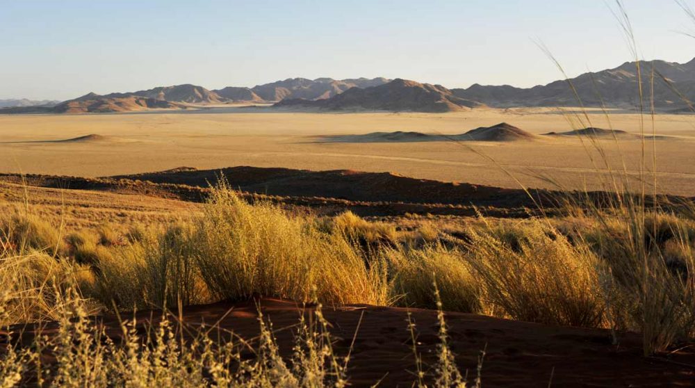 Paysage à la lumière du matin