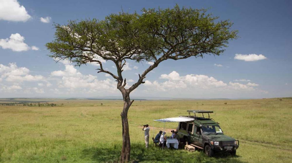 Pose pendant le safari du matin dans le Masai Mara