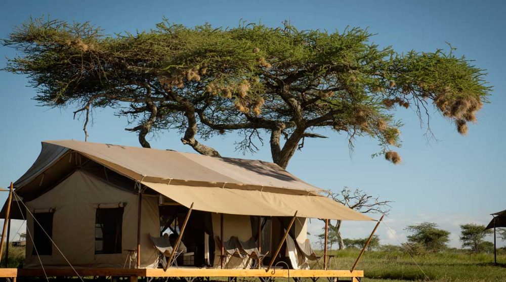 La tente de la salle à manger