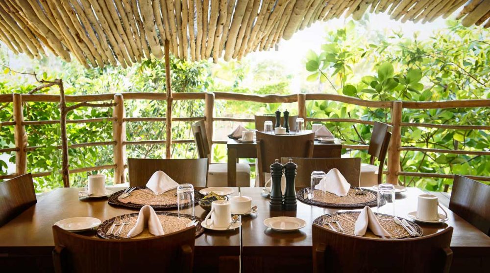 Le déjeuner sur la terrasse