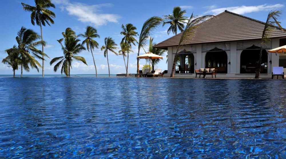 Palmiers autour de la piscine