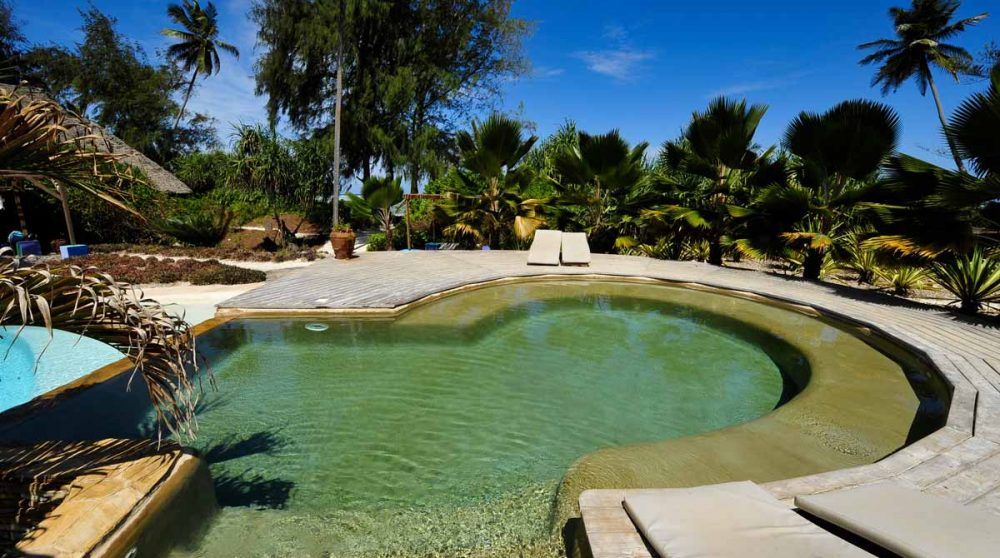 L'hôtel et sa piscine en Tanzanie