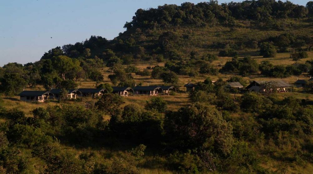La nature autour du camp dans le Masai Mara