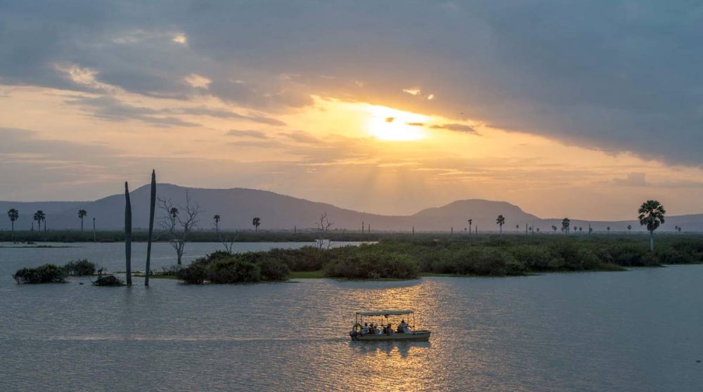 Coucher de soleil sur la rivière dans la réserver de Selous