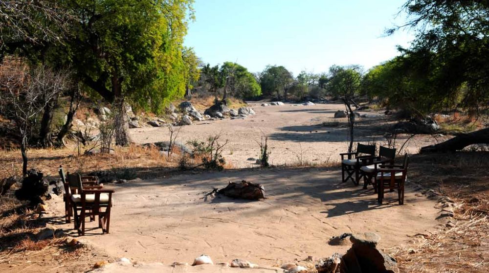 La vue sur la nature près du parc national de Ruaha