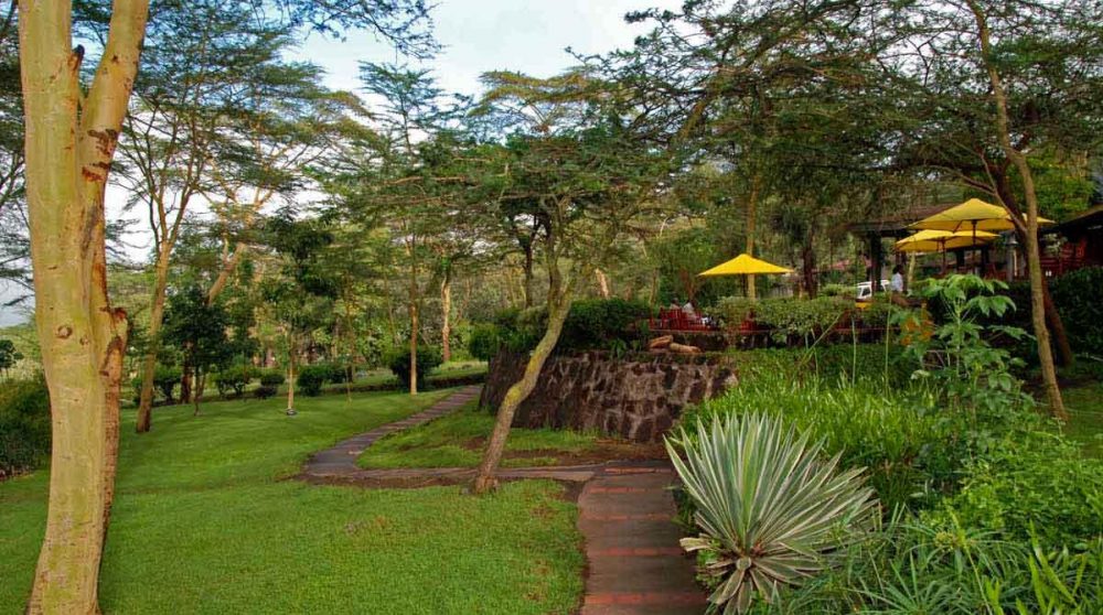 Une allée dans le jardin au Lac Nakuru
