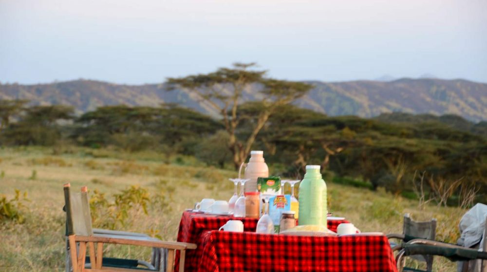Petit-déjeuner en pleine nature