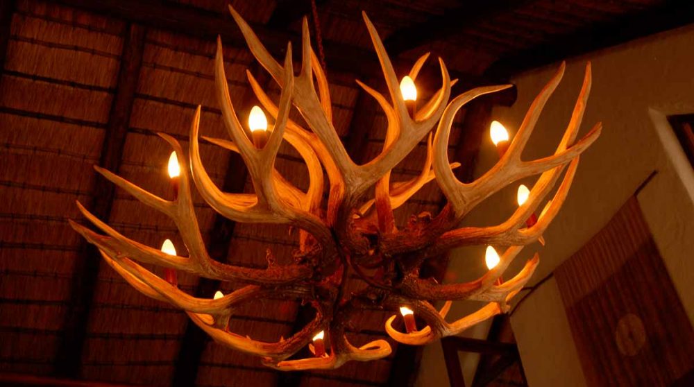 Détail de la décoration à Madikwe