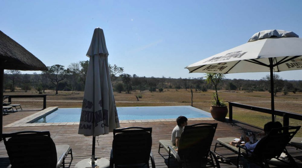 Vue sur la nature depuis la piscine en Afrique du Sud