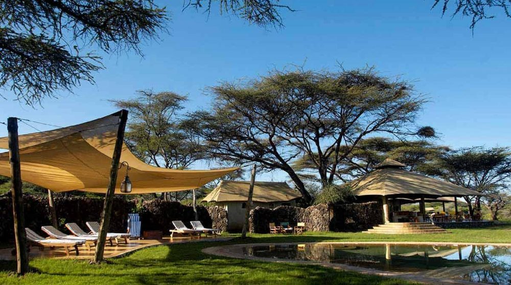 Chaises longues dans le jardin à Shaba