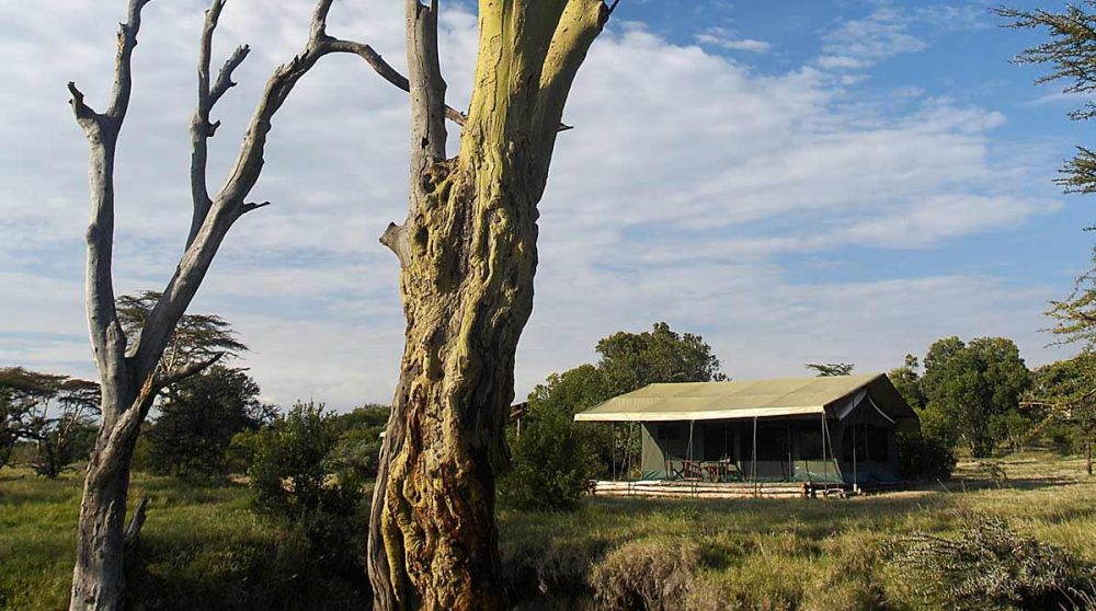 La nature environante à Ol Pejeta
