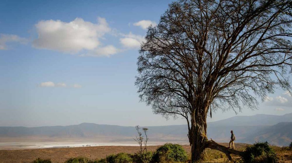 Superbe vue panoramique au cratère du Ngorongoro