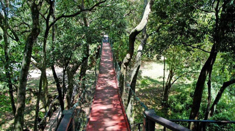 Une allée dans le jardin