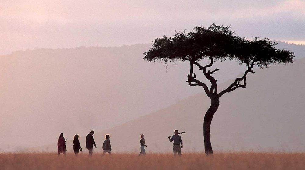 Expérience safari près du camp