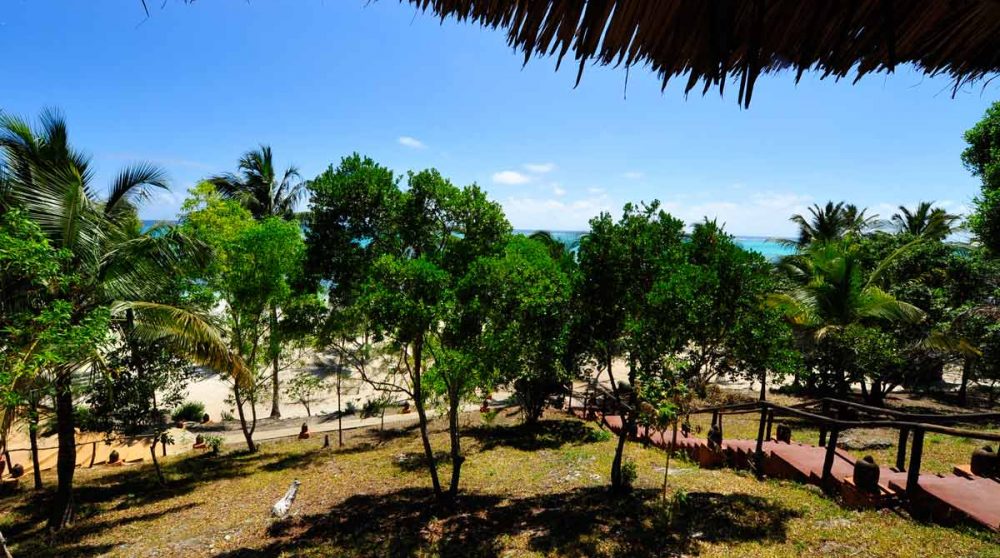 Vue sur le jardin depuis le restaurant