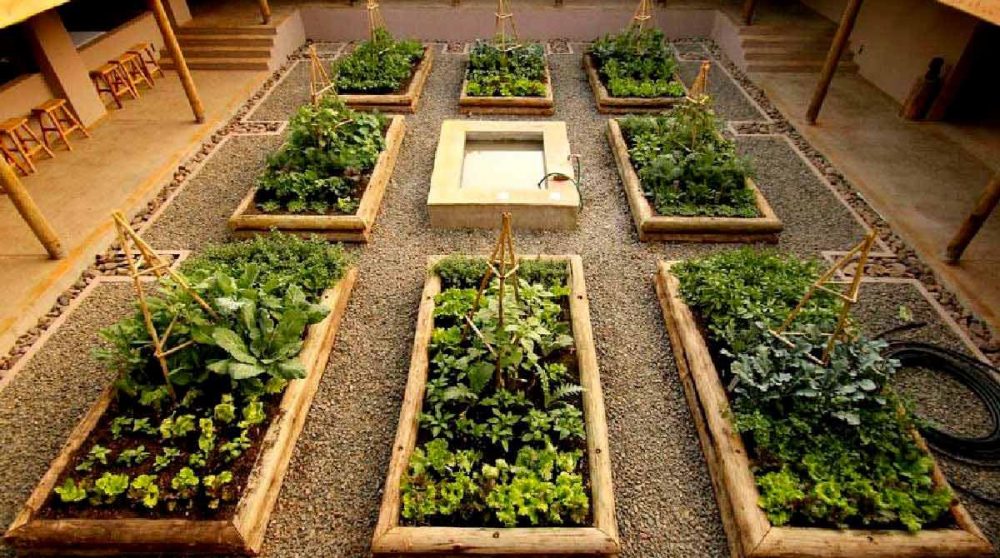 Cour intérieure avec des plantations