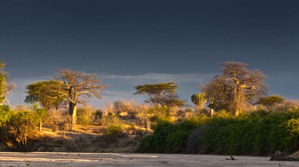 Coucher de soleil près du camp