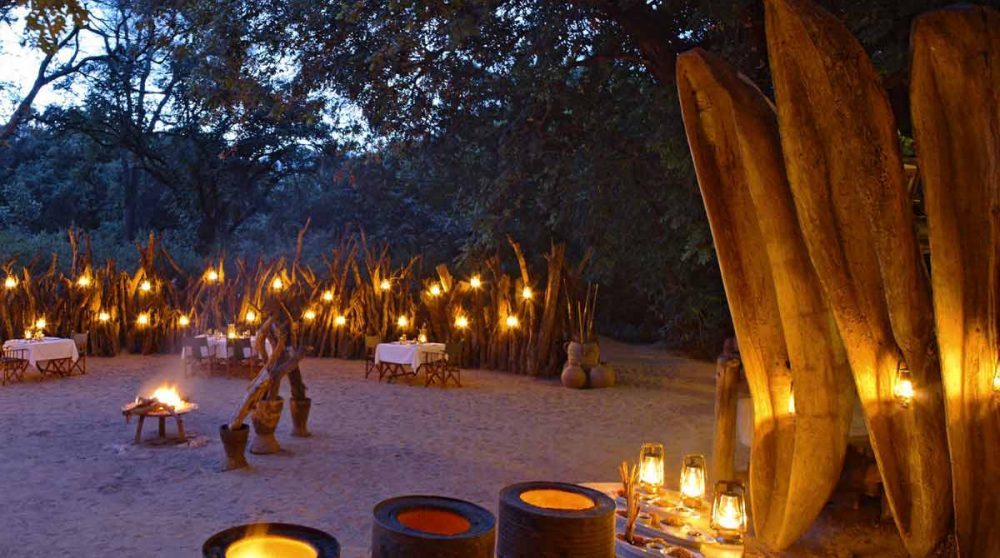 Une soirée dans le jardion